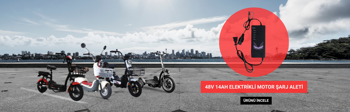 48V 14AH Elektrikli Motor Şarj Aleti PC Banner